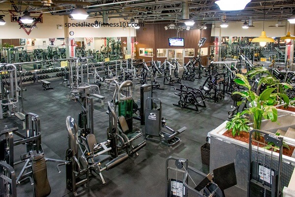 Harbor Fitness​